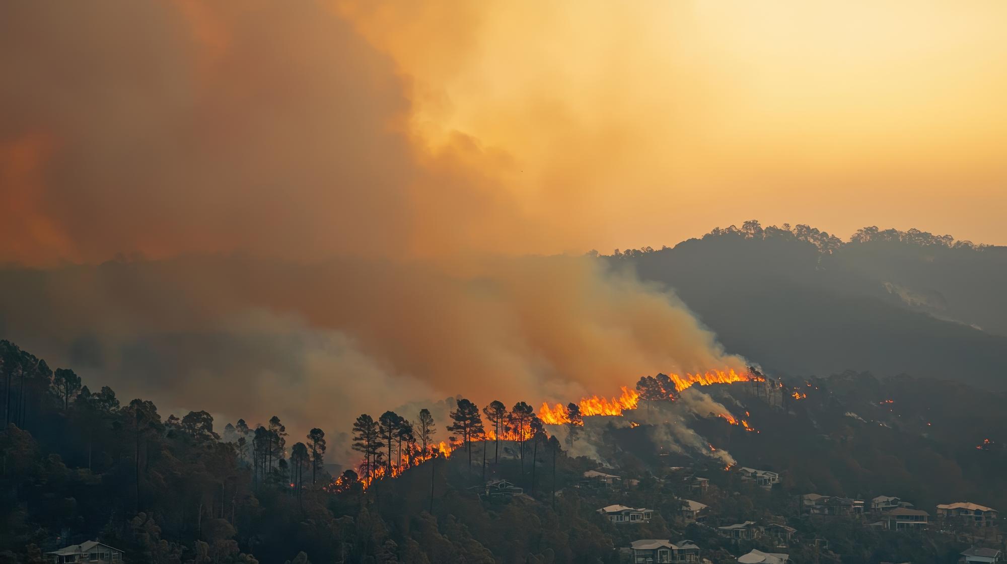 Roseville wildfire lawsuit lawyers Gingery Hammer & Associates — California wildfire burning above a hillside neighborhood