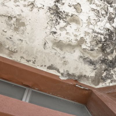 Hazardous Conditions Attorney SACRAMENTO CA Gingery Hammer Associates LLP