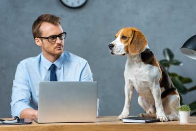 Signs You Need To Hire A Sacramento Dog Bite Attorney