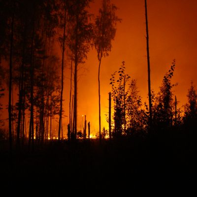 Wildfire Lawsuits Lawyer Sacramento CA Gingery Hammer Associates LLP