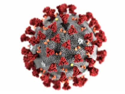COVID-19 virus cell viewed under a microscope, accompanying the firm's office announcement