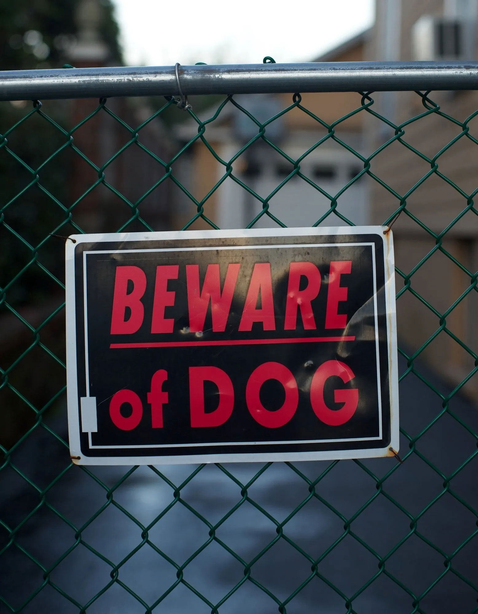 Sacramento dog bites attorney