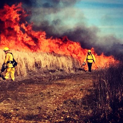 Roseville wildfire lawsuit lawyer reviewing a California wildfire property loss claim